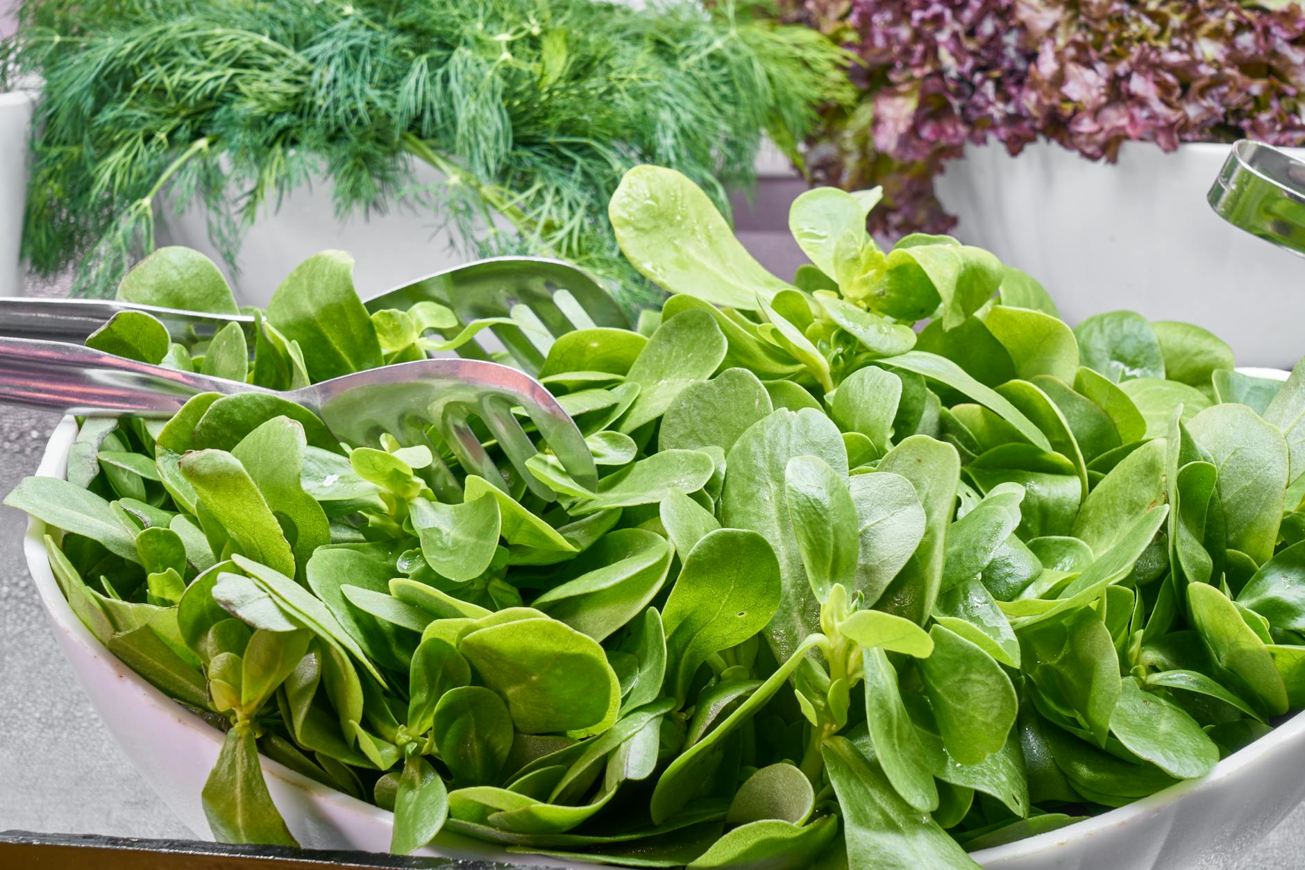 vegetables on plate semizotu